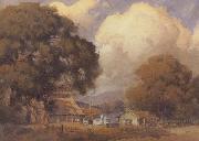 unknow artist Sunlit Farm oil painting reproduction